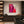 Magenta Dialogue